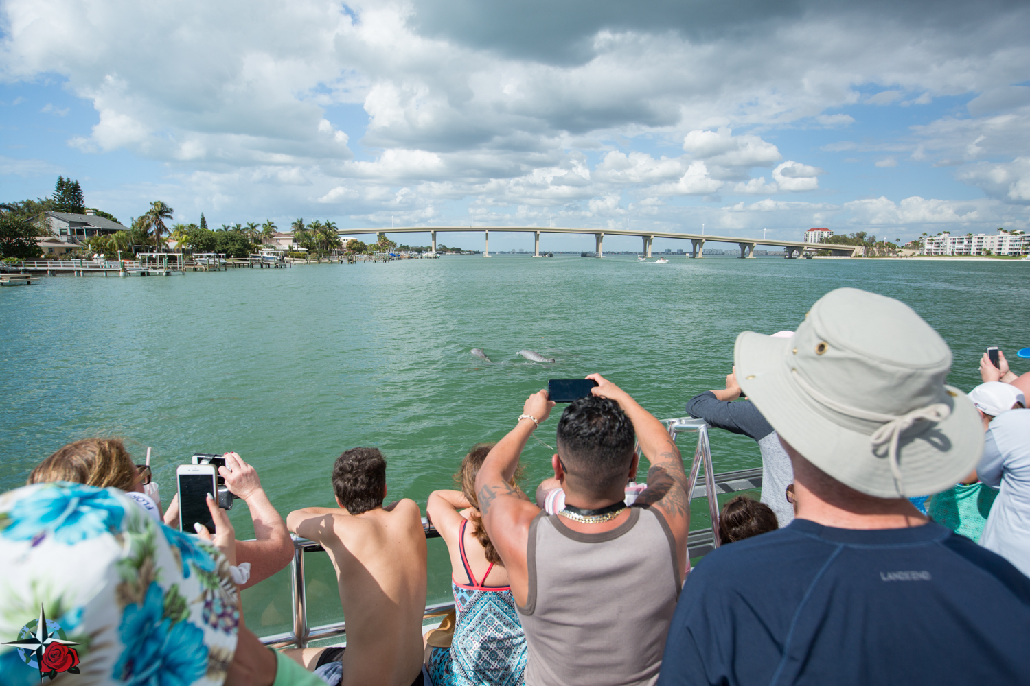 Dolphin Watch Tour