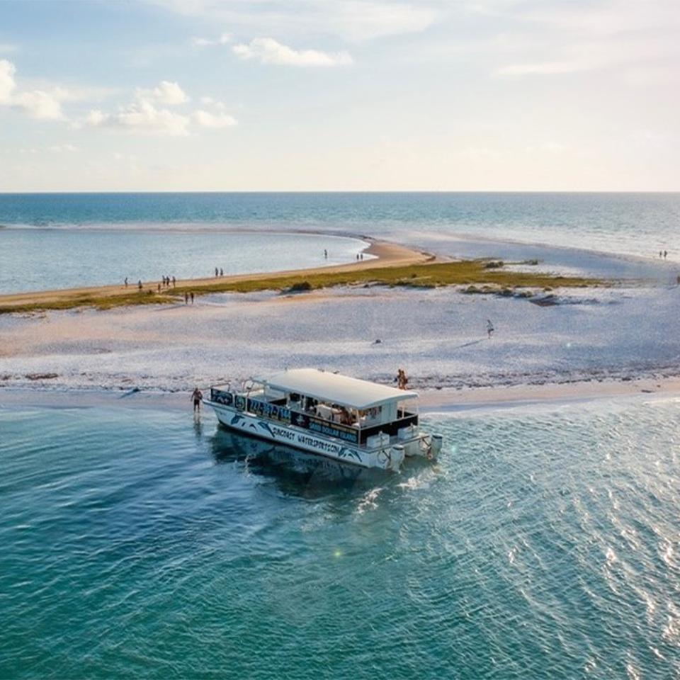 Sand Dollar Island Tour